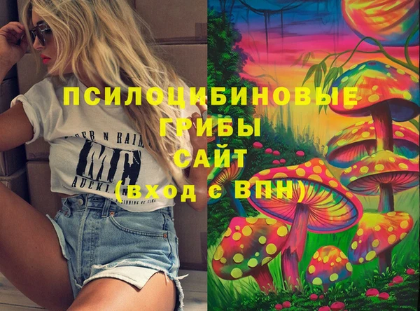 индика Алзамай