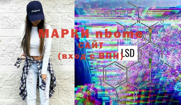 индика Алзамай